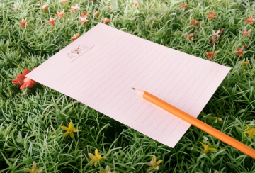 Kursfoto 1_Nature Journaling